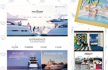 Princess Yacht Dealer in India