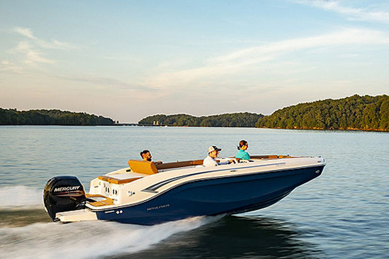 Bayliner Bowriders DeckboatsEelement DX2000 in Mumbai Navnit Marines
