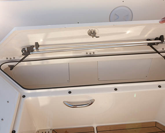 Quicksilver Activ 805 Cruiser Boat distributor in Mumbai 