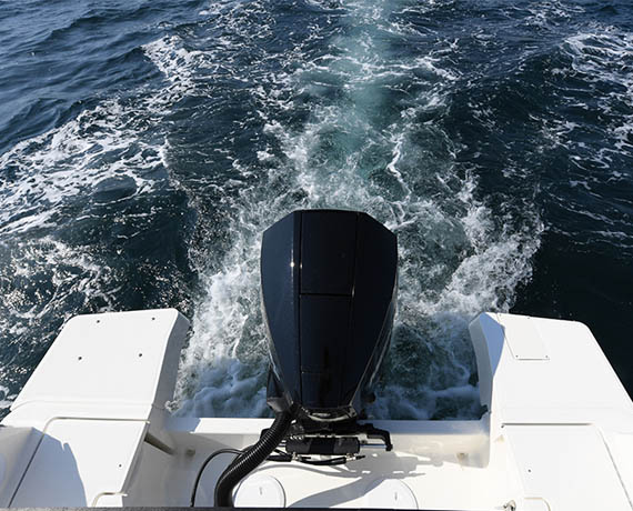 Quicksilver 805 Pilothouse Boat distributor in Mumbai 